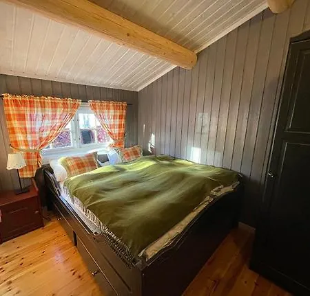 Mountain Holiday home Trysil