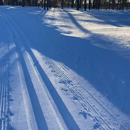 Mountain Holiday home Trysil