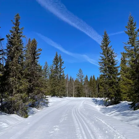 Mountain 度假居 特吕西尔