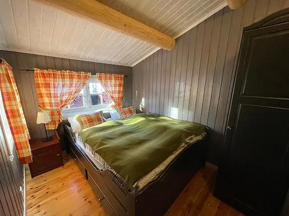Mountain Holiday home Trysil