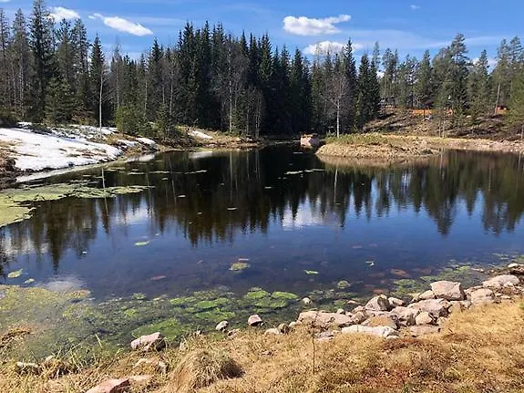 Mountain * Trysil