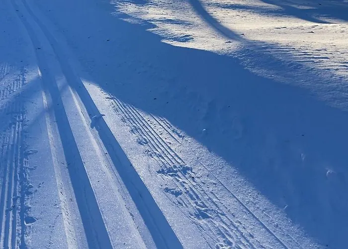 Mountain Holiday home Trysil