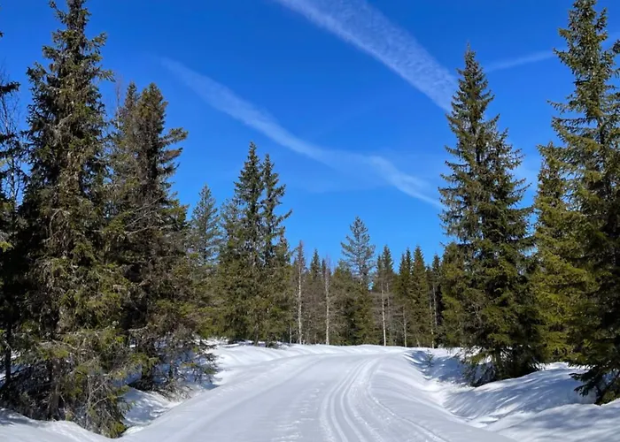 Mountain Holiday home Trysil