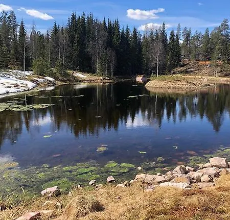 Mountain * Trysil